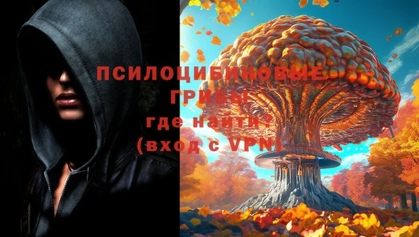 дурь Бугульма